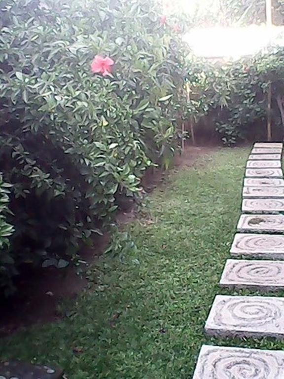 Bali Sari Homestay 아메드 외부 사진