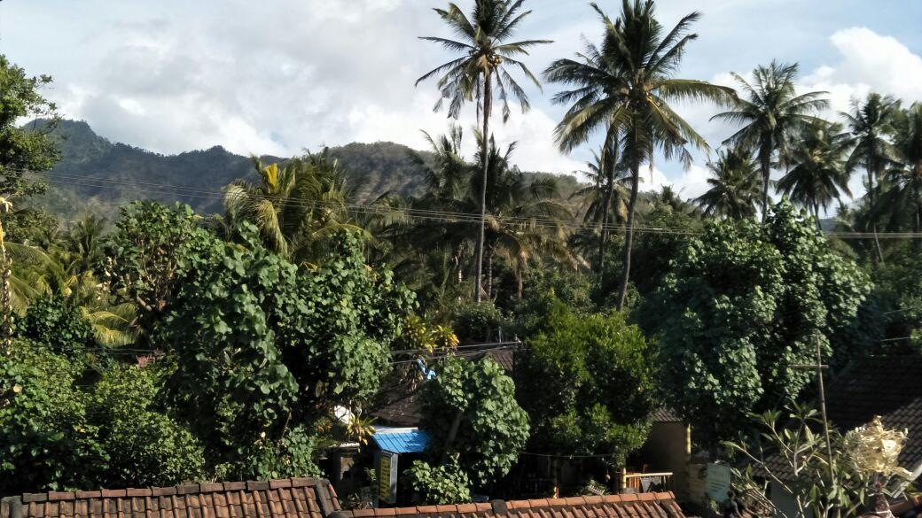 Bali Sari Homestay 아메드 외부 사진